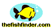 fishybot.gif (4949 bytes)